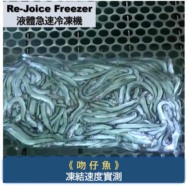 驚人的凍結速度-吻仔魚.png
